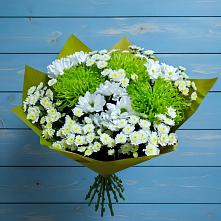 Букет цветов из:  Хризантемы #REPLACE_PRED# Сотниково