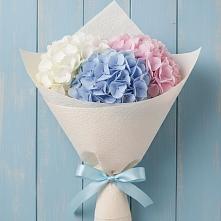Букет цветов из:  Гортензия в Сотниково