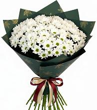 Букет цветов из:  Хризантемы #REPLACE_PRED# Сотниково