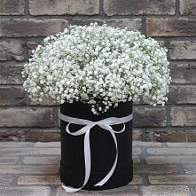 Цветочная композиция из Гипсофила в шляпной коробке в Сотниково