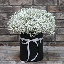 Цветочная композиция из Гипсофила в шляпной коробке в Сотниково