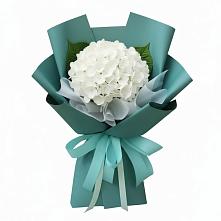 Букет цветов из:  Гортензия в Сотниково